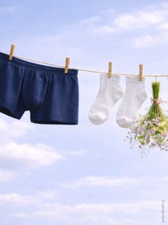 Boxer azul marino, calcetines blancos y un pequeño ramo de flores colgado de un tendedero frente a un cielo azul con nubes.